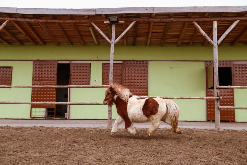 Afyon Can Termal Apart Afyonkarahisar Kültér fotó